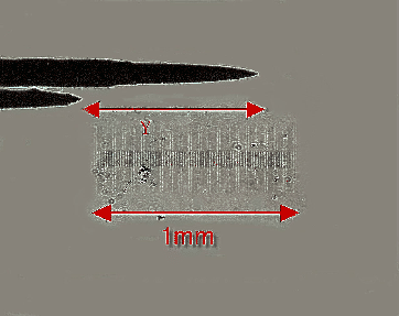 \includegraphics[width=8.0 cm]{figures/fig01.eps}