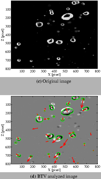 \begin{figure}\begin{center}
\wIncGraphSubcap
{figures/original_image}{7.5}{Or...
...cap
{figures/bcc_velocity}{7.5}{BTV analyzed image}
\end{center}
\end{figure}