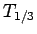 $T_{1/3}$