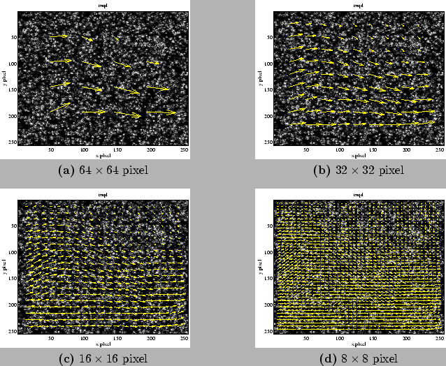 \begin{figure}\wIncGraphsSubcap{cor_64.eps}{6.0}{$64\times64$
pixel}{cor_32.eps...
...ps}{6.0}{$16\times16$
pixel}{cor_08.eps}{6.0}{$8\times8$\ pixel}
\end{figure}